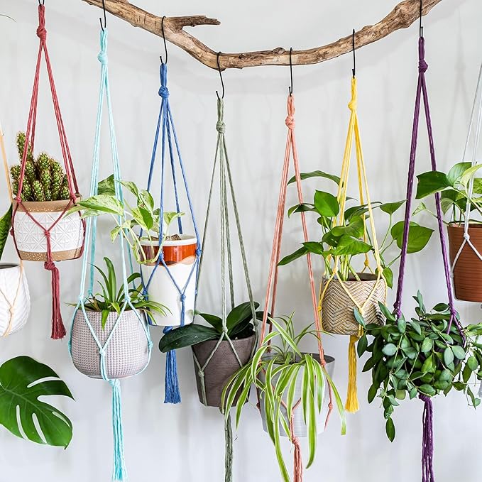 MECCANIXITY 1/16 Inch Polypropylene Rope Braided Ropes, 328ft Nylon Rope Hollow Utility Cord for Clothesline, Camping, Hiking, Outdoor, Dark Green