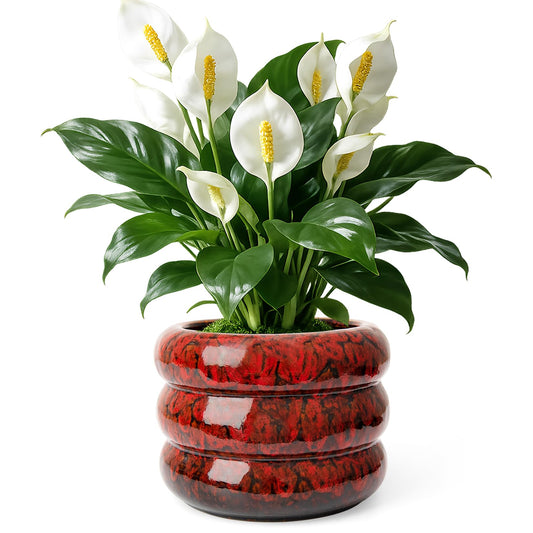 YINUOWEI Ceramic 6 inch Plant Pot - Planter for Indoor Plants with Drainage Hole, Flower Pots for Orchid, Succulent,Outdoor Plants, Modern Glaze Planters for Home Office Decor Gift