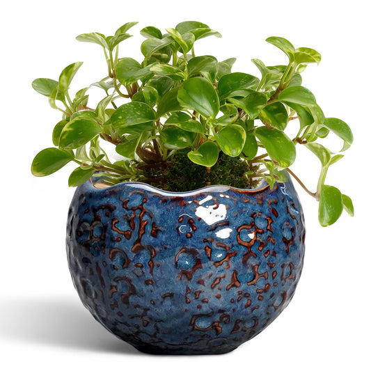 Thirtypot Ceramic Pots for Plants - 4 Inch Plant Pots for Indoor Outdoor, Small Planter with Drainage Hole, Unique Flower Pot, Decorative Modern Round Planter, Office Decor, Home Gifts, Retro Blue