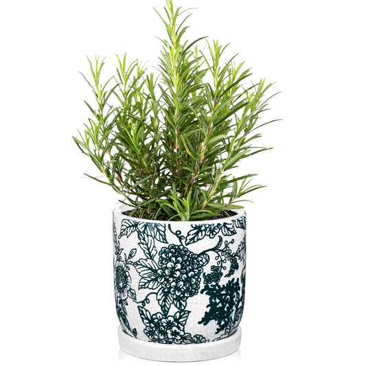 Ceramic Planters, Ceramic Flower Pots with Drainage Hole & Saucer, Vintage Cracked Glaze Ceramics Plant Pots for Succulents, Herbs, Orchids, Home, Office, Garden, Tabletop, Shelf Decor, Green & White