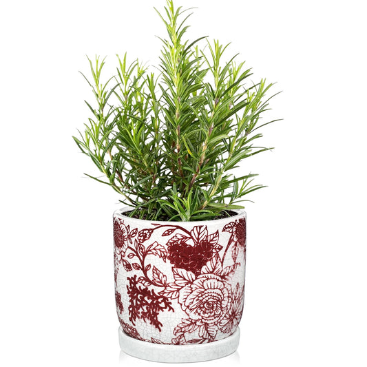Ceramic Planters, Ceramic Flower Pots with Drainage Hole & Saucer, Vintage Cracked Glaze Ceramics Plant Pots for Succulents, Herbs, Orchids, Home, Office, Garden, Tabletop, Shelf Decor, Red & White