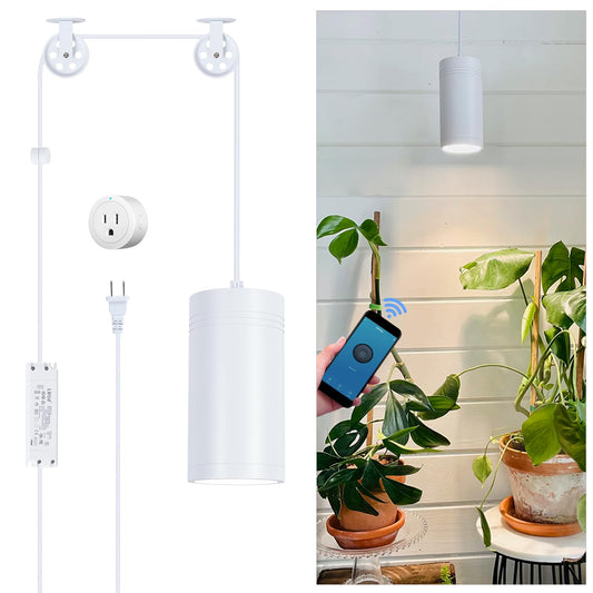 HMVPL Hanging Grow Light, Plant Lights Full Spectrum with 4000K 40W COB Bulb, Pulleys and Smart Timer, Indoor Grow Lamp for Tall Tree Hydroponics
