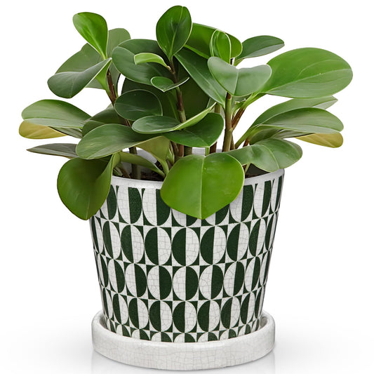 Nature Crafted 5.5 Inch Ceramic Plant Pot, Ice Crack Plant Pots with Drainage Hole and Saucer, Vintage Flowers Pot for Plants Indoor Outdoor Home Patio Office Decor (Green)