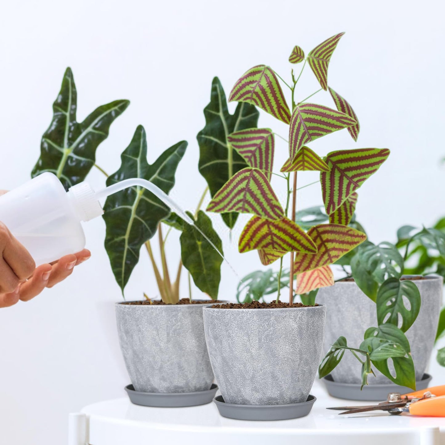 Set of 8 Plastic Planter, 10/9/8/7.5/6.5/5.7/5/4inch Plastic Planter, Flower Pot Indoor Decorative Large Plant Pot, Plant Pots Indoor with Drainage and Saucer for All House Plants (Set of 8)