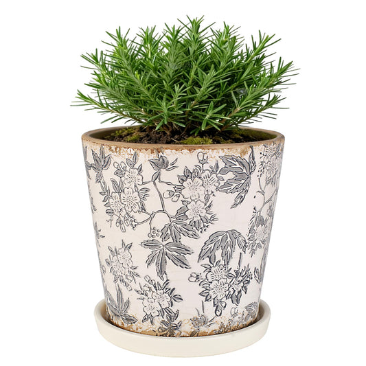 Ceramic Flower Pots For Indoor Plant, 5.5 Inch Small Ice Crack Plant Pots With Drainage Hole & Saucer, Decorative Vintage Planters For Succulent Herb Cactus Mint Basil, Garden Pot For Home Decor