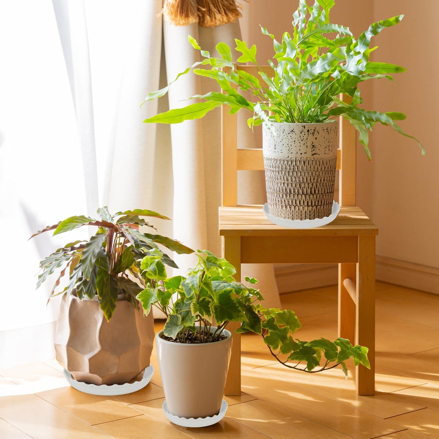 YUANAIYI 6 Packs Wave Plant Saucer - Plastic Flower Pot Drip Trays/Durable Heavy Duty White Plant Tray for Indoor and Out Door Plant(6/8/10 inch)