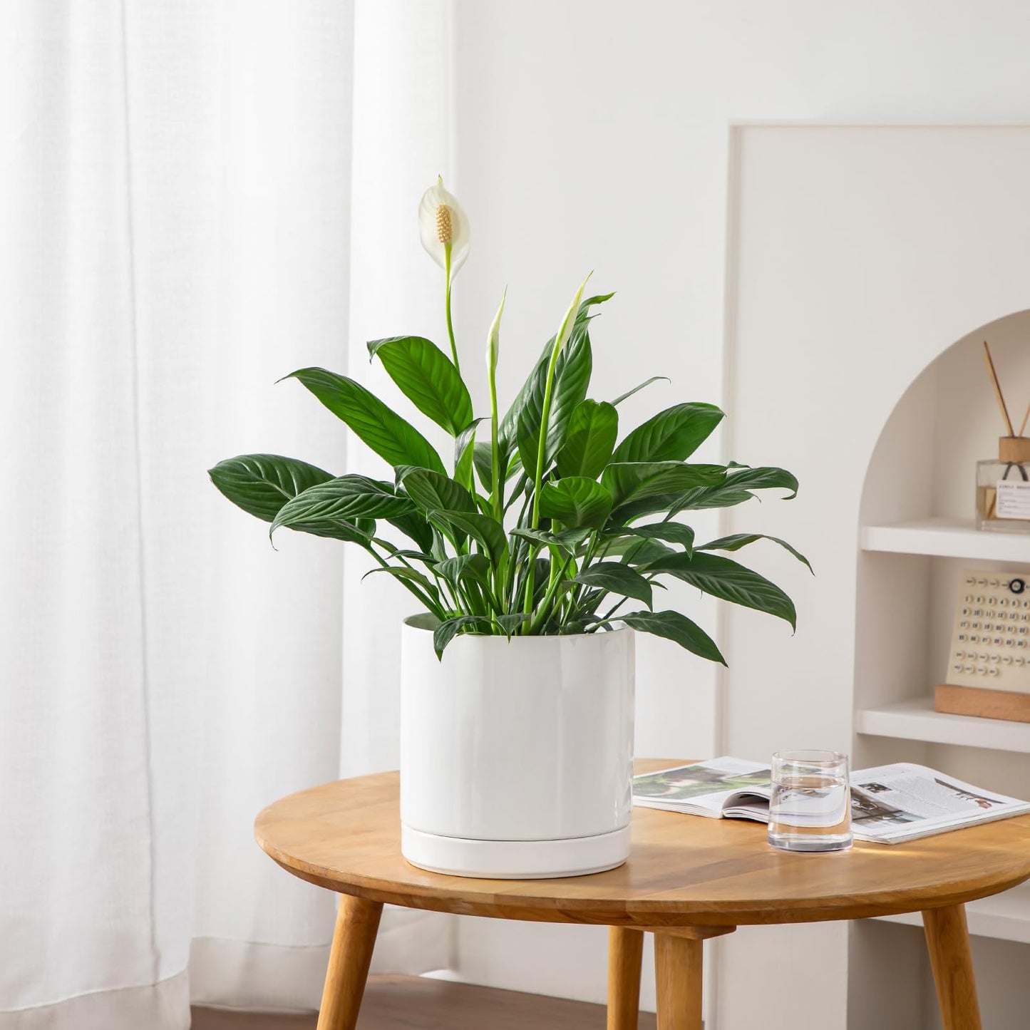 vancasso Ceramic Plant Pots, 8.25 Inch Ceramic Pot for Plants, Planters Pots for Indoor Plants with Drainage Holes, Flower Pot for Indoor House Plant, White