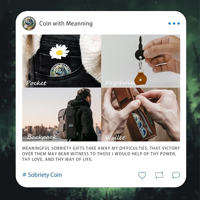 One Day at a Time 60 Day Sobriety Coin - Recovery Aurora Forest Wolf AA Coins - Addiction NA AA Chips and Medallions - Celebrate 1-30 Living Clean Sober Alcoholics Anonymous Gifts for Men Women