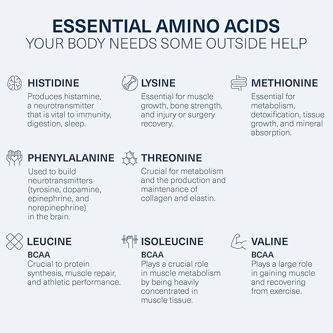 The Amino CO. - Perform Pre Workout Powder Supplement with Pure EAA Amino Acids & Natural Flavor, Stevia Sweetened Preworkout Energy Boost for Men & Women - Grape (6.7 oz)