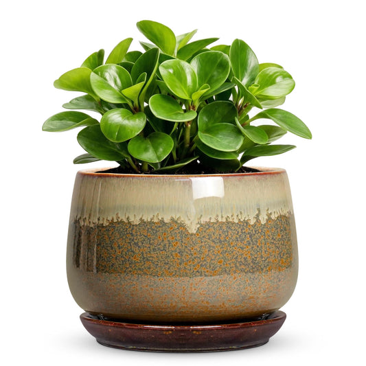 Fivepot 6 Inch Plant Pot - Ceramic Pots for Indoor Plants, Round Small Succulent Planter with Drainage and Saucer, Decorative Flower Pot, Office Room Decor, Gifts for Plant Lovers, Brown-Beige