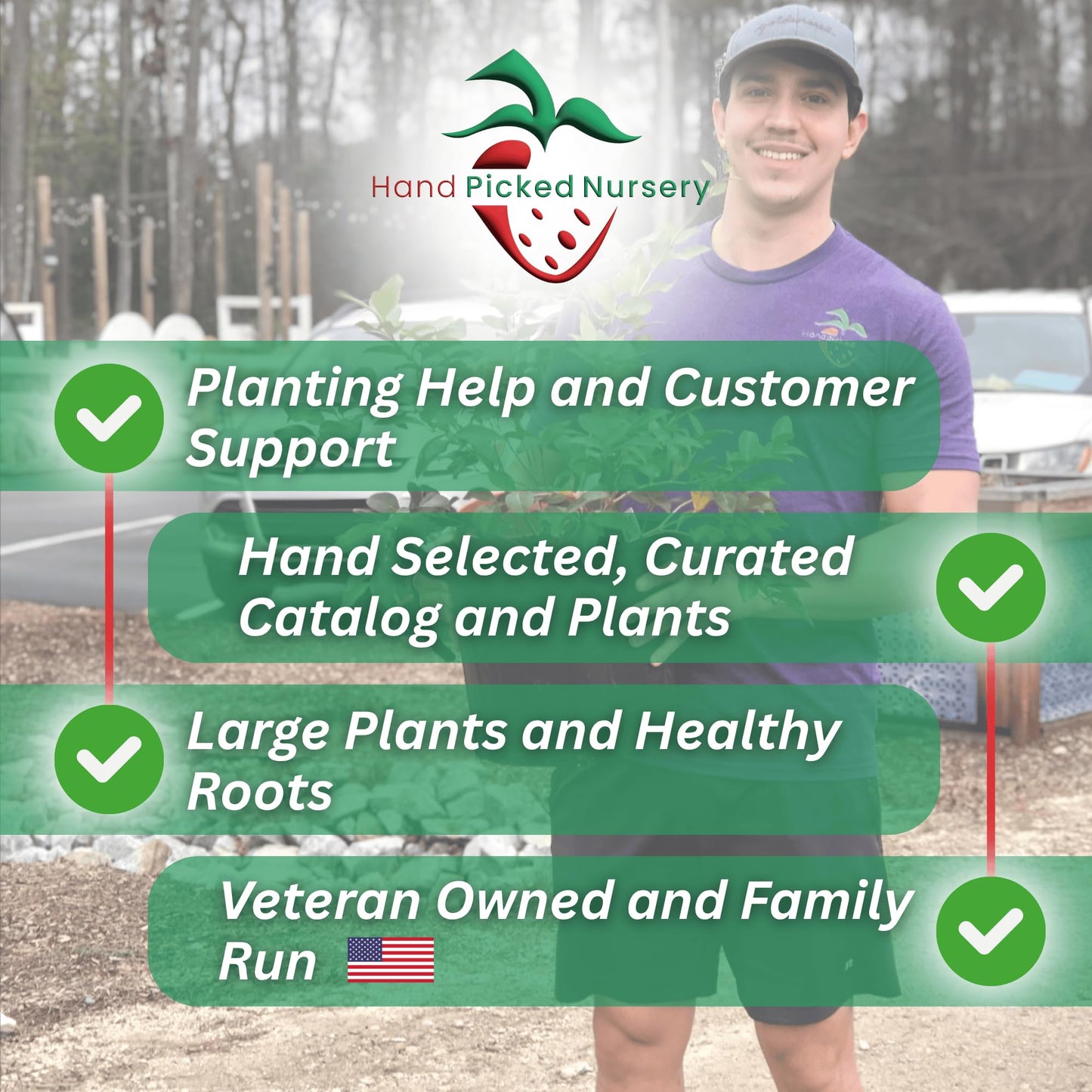 Hand Picked Nursery 10 Seascape Everbearing Bare Root Strawberry Plants Live for Planting, Non-GMO Live Outdoor Plants