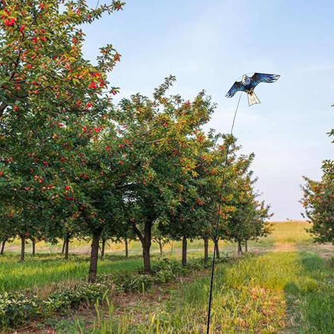 HENGDA KITE Bird Hawk Flying Kite Without Pole for Crops Farm Protector Bird Scarer Flying Kite Without Pole Bule