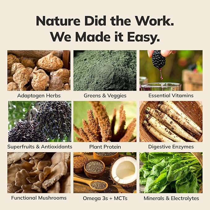 Ka?™Chava Whole Body Meal Shake Matcha 2 lb ??Vegan Protein Powder with 85+ Superfoods & Greens ??Plant-Based Meal Replacement with Probiotics & Digestive Enzymes ??Gluten & Dairy Free (15 Servings)