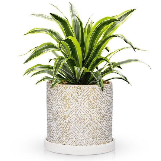 Ceramic Plant Pots with Drainage Hole & Saucer, White & Gold Ceramic Planter Pot for Indoor & Outdoor Use, 5.5" Small Plant Pots Decorative Flowerpots for Succulents, Herbs, Cactus, Orchids Planter