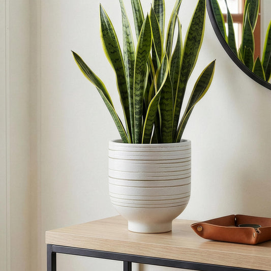 HERDUK Modern Ceramic Pottery Planter for Indoor Plants, White Minimalist Indoor Planter with Drainage, Contemporary Decorative Pot for Living Room, Office & Shelf Styling