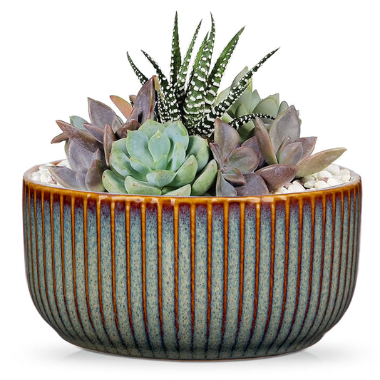 Plant Pots Indoor with Drainage Hole 6 inch Ceramic Plant Pot Sage Green Succulent Pot Small Round Planters for Indoor Outdoor Plants Bonsai Bowl Decorative Flower Pots for Orchid Cactus Snake Plant