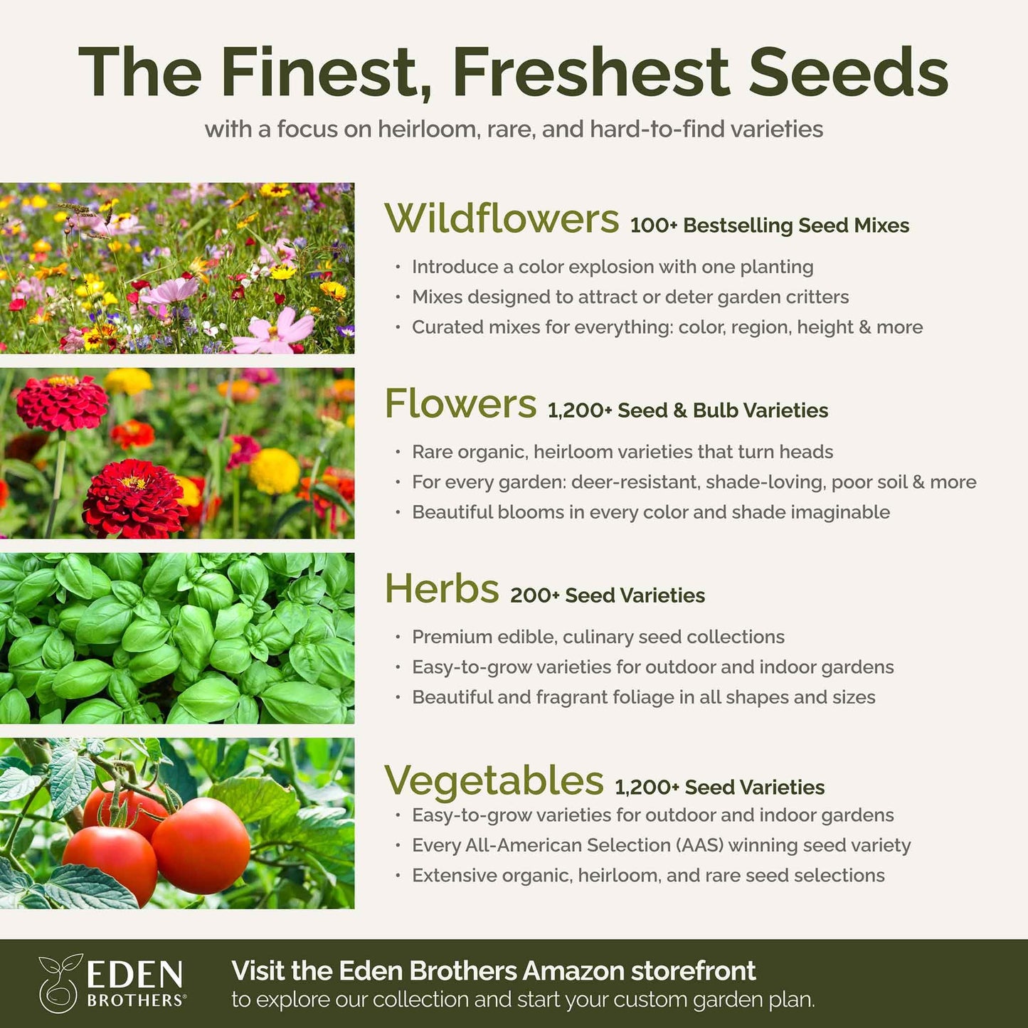 Eden Brothers All Annual Wildflower Mixed Seeds for Planting, 1/4 lb, 120,000+ Seeds with Sunflower, Indian Blanket, Scarlet Flax | Attracts Pollinators, Plant in Spring, Zones 3, 4, 5, 6, 7, 8, 9, 10