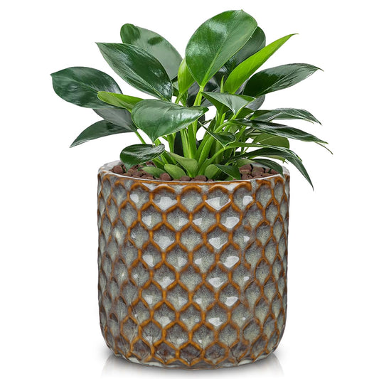 Oairse Small Ceramic Pots for Plants, 5.3 inch Brown Plant Pot Indoor with Drainage Ceramic Planters for Indoor Plants Succulent Planters Decorative Flower Pots for Cactus, Snake Plant, Herb