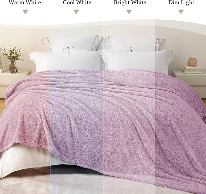 Exclusivo Mezcla Fleece Twin Size Bed Blanket, Ultra Soft, Lightweight and Fuzzy Light Purple Blanket for Women, Home Decor, 60x80 Inches