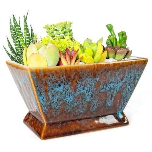 ARTKETTY Succulent Pots - 7 Inch Large Plant Pot with Drainage, Shallow Ceramic Succulent Planters for Indoor Outdoor Plants, Modern Cactus Bonsai Plant Container Decorative Home Office